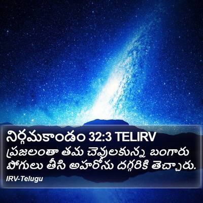నిర్గమకాండం 32:3 TELIRV Bible Verse Image