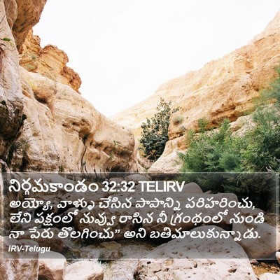 నిర్గమకాండం 32:32 TELIRV Bible Verse Image