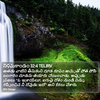 నిర్గమకాండం 32:4 TELIRV Bible Verse Image