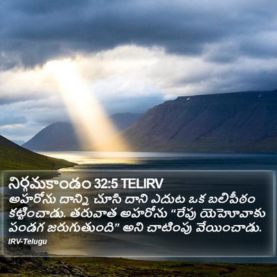 నిర్గమకాండం 32:5 TELIRV Bible Verse Image