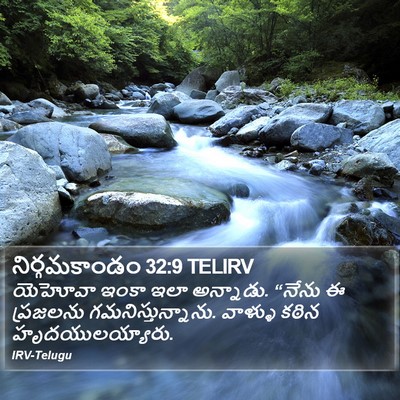 నిర్గమకాండం 32:9 TELIRV Bible Verse Image