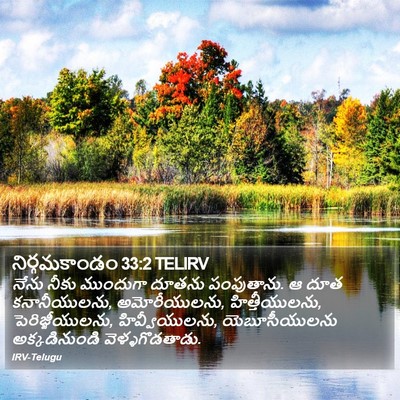 నిర్గమకాండం 33:2 TELIRV Bible Verse Image