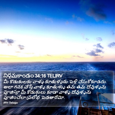 నిర్గమకాండం 34:16 TELIRV Bible Verse Image