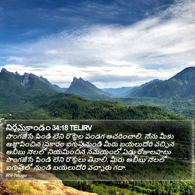 నిర్గమకాండం 34:18 TELIRV Bible Verse Image