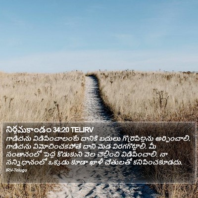 నిర్గమకాండం 34:20 TELIRV Bible Verse Image