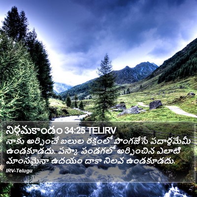 నిర్గమకాండం 34:25 TELIRV Bible Verse Image