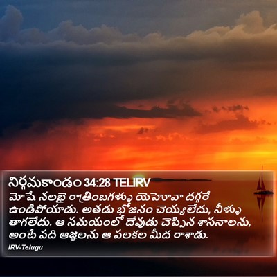 నిర్గమకాండం 34:28 TELIRV Bible Verse Image