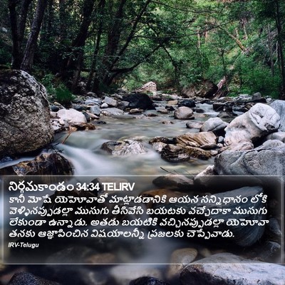 నిర్గమకాండం 34:34 TELIRV Bible Verse Image