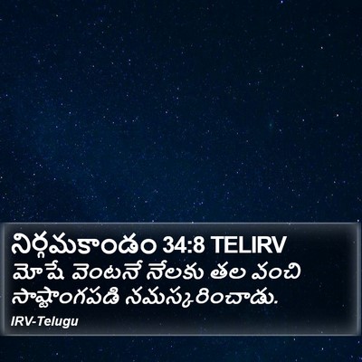 నిర్గమకాండం 34:8 TELIRV Bible Verse Image