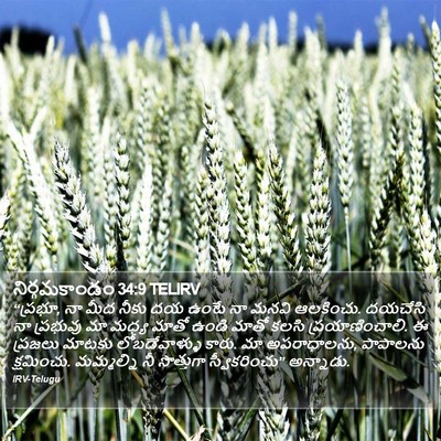 నిర్గమకాండం 34:9 TELIRV Bible Verse Image