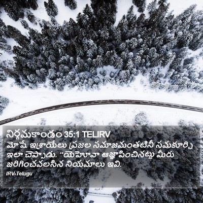 నిర్గమకాండం 35:1 TELIRV Bible Verse Image