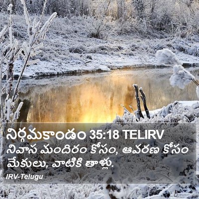 నిర్గమకాండం 35:18 TELIRV Bible Verse Image