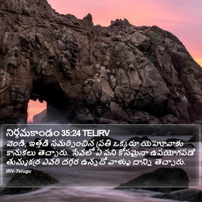నిర్గమకాండం 35:24 TELIRV Bible Verse Image