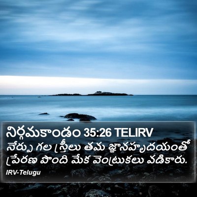 నిర్గమకాండం 35:26 TELIRV Bible Verse Image