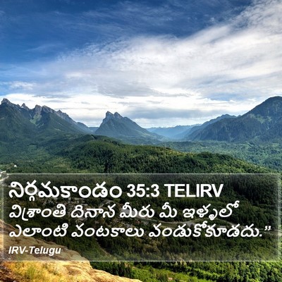 నిర్గమకాండం 35:3 TELIRV Bible Verse Image