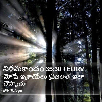 నిర్గమకాండం 35:30 TELIRV Bible Verse Image