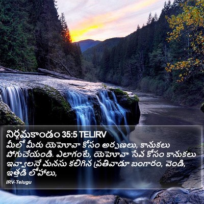 నిర్గమకాండం 35:5 TELIRV Bible Verse Image