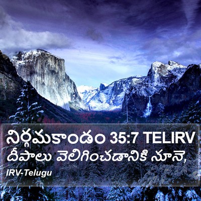 నిర్గమకాండం 35:7 TELIRV Bible Verse Image