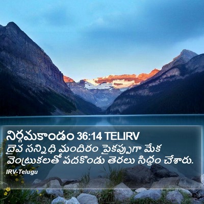 నిర్గమకాండం 36:14 TELIRV Bible Verse Image