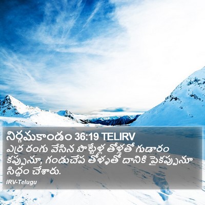 నిర్గమకాండం 36:19 TELIRV Bible Verse Image
