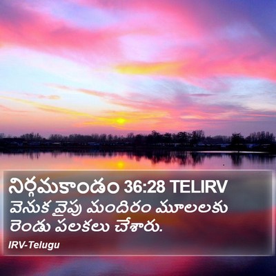 నిర్గమకాండం 36:28 TELIRV Bible Verse Image