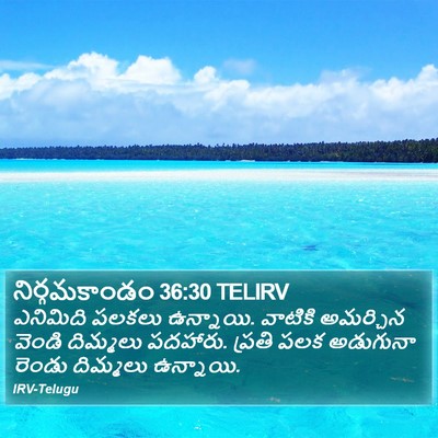 నిర్గమకాండం 36:30 TELIRV Bible Verse Image
