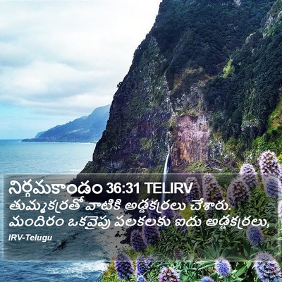 నిర్గమకాండం 36:31 TELIRV Bible Verse Image
