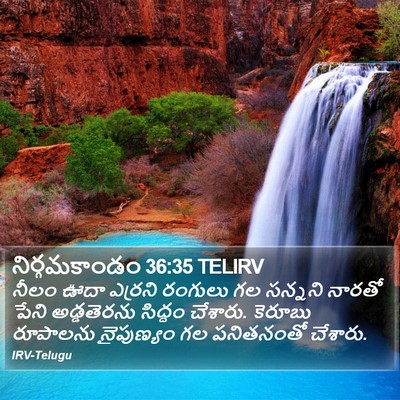 నిర్గమకాండం 36:35 TELIRV Bible Verse Image