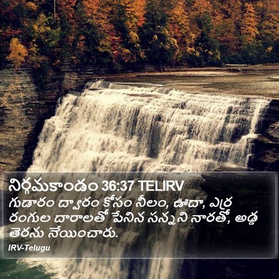 నిర్గమకాండం 36:37 TELIRV Bible Verse Image
