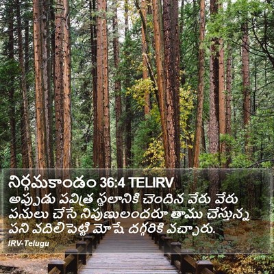 నిర్గమకాండం 36:4 TELIRV Bible Verse Image