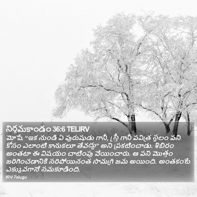 నిర్గమకాండం 36:6 TELIRV Bible Verse Image