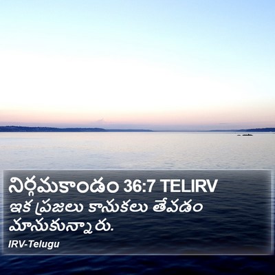 నిర్గమకాండం 36:7 TELIRV Bible Verse Image