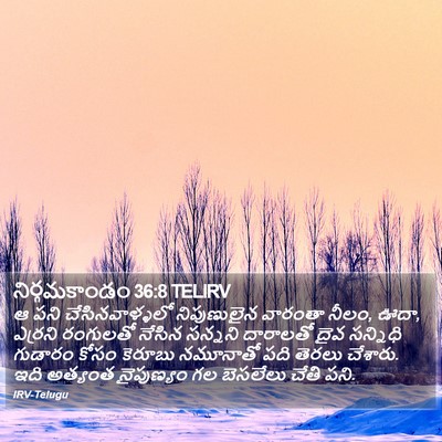 నిర్గమకాండం 36:8 TELIRV Bible Verse Image