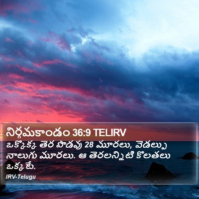 నిర్గమకాండం 36:9 TELIRV Bible Verse Image