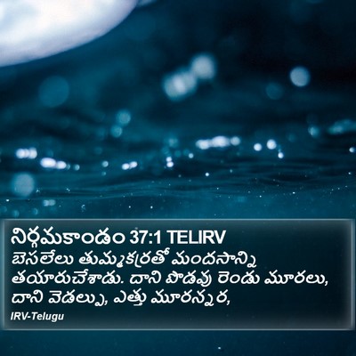 నిర్గమకాండం 37:1 TELIRV Bible Verse Image