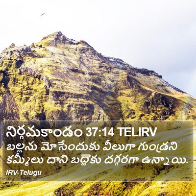 నిర్గమకాండం 37:14 TELIRV Bible Verse Image