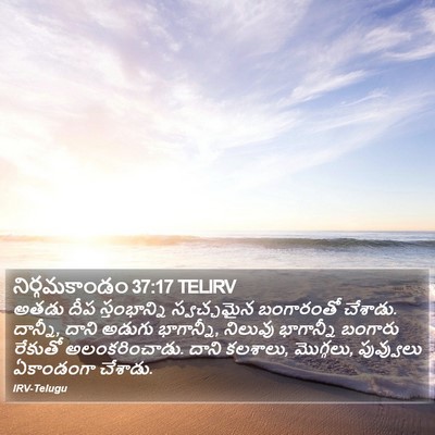 నిర్గమకాండం 37:17 TELIRV Bible Verse Image