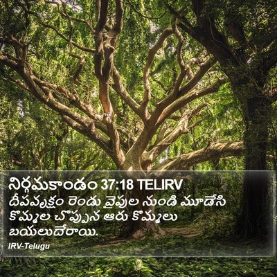 నిర్గమకాండం 37:18 TELIRV Bible Verse Image