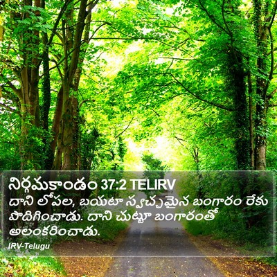 నిర్గమకాండం 37:2 TELIRV Bible Verse Image