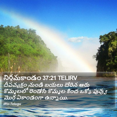 నిర్గమకాండం 37:21 TELIRV Bible Verse Image