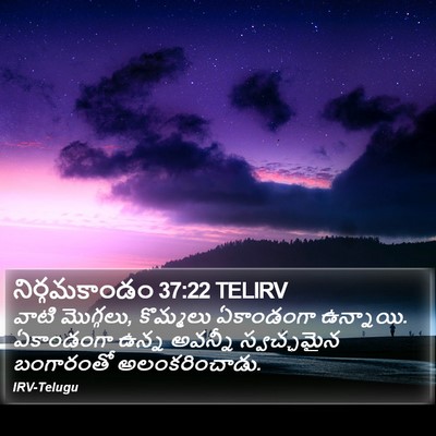 నిర్గమకాండం 37:22 TELIRV Bible Verse Image