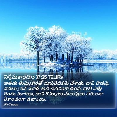 నిర్గమకాండం 37:25 TELIRV Bible Verse Image