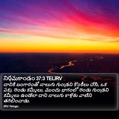 నిర్గమకాండం 37:3 TELIRV Bible Verse Image