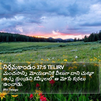 నిర్గమకాండం 37:5 TELIRV Bible Verse Image