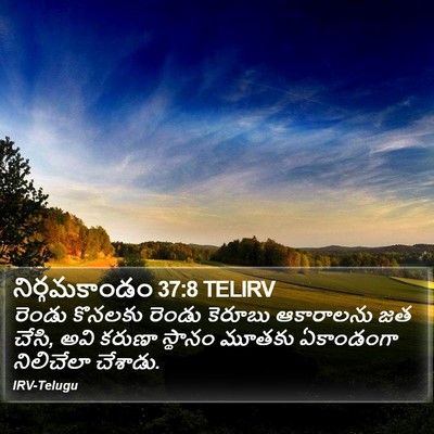 నిర్గమకాండం 37:8 TELIRV Bible Verse Image