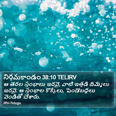నిర్గమకాండం 38:10 TELIRV Bible Verse Image