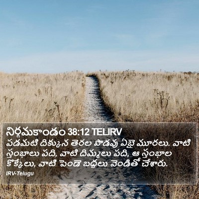 నిర్గమకాండం 38:12 TELIRV Bible Verse Image