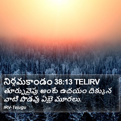 నిర్గమకాండం 38:13 TELIRV Bible Verse Image