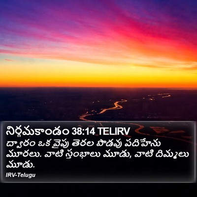 నిర్గమకాండం 38:14 TELIRV Bible Verse Image