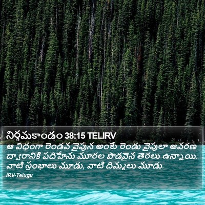 నిర్గమకాండం 38:15 TELIRV Bible Verse Image